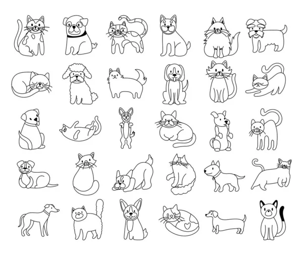 Bundle of cats and dogs set icons — Stock Vector