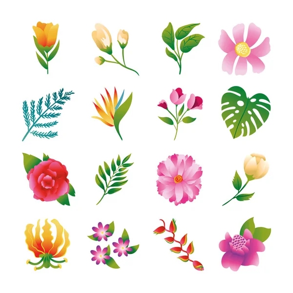 Bundel van prachtige bloemen en bladeren pictogrammen — Stockvector