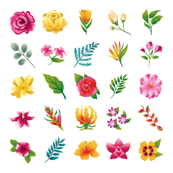 Wiązka pięknych ikon kwiatów i liści — Wektor stockowy