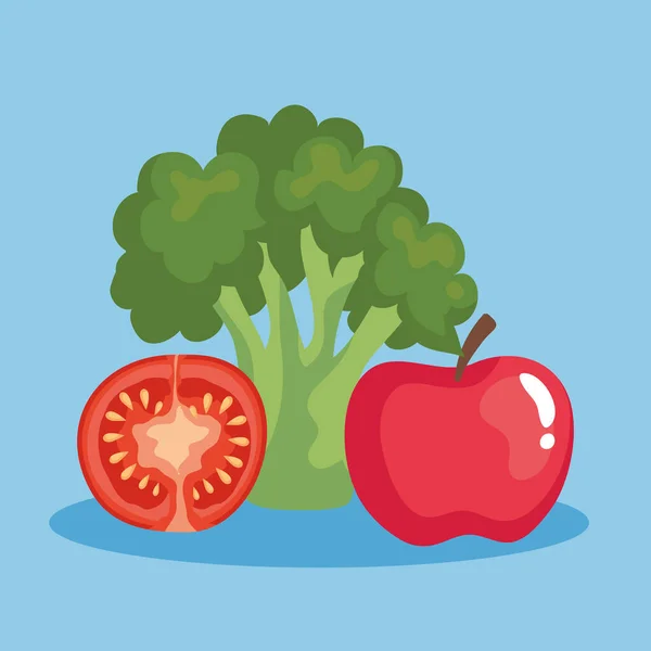 Uppsättning färska och friska grönsaker — Stock vektor