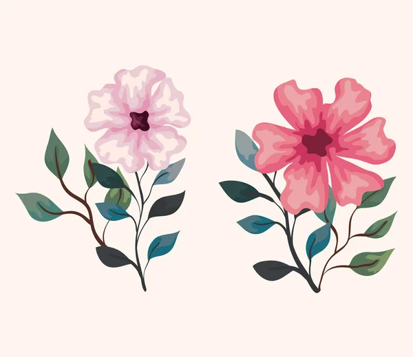 Sada květin, větve s listy, přírodní dekorace — Stockový vektor