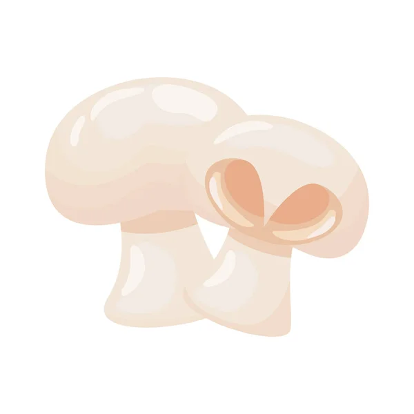 蘑菇健康蔬菜详细风格图标 — 图库矢量图片