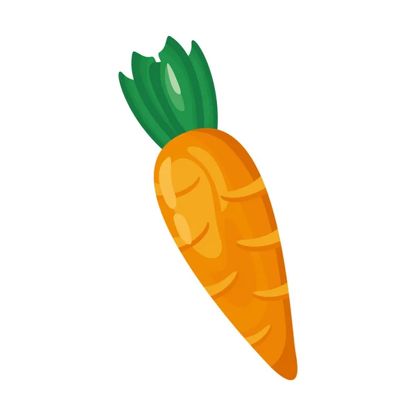 Морква здорова овочева деталізована піктограма стилю — стоковий вектор