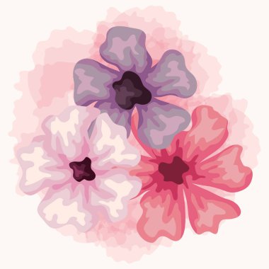 Çiçek seti, doğa dekorasyonu.