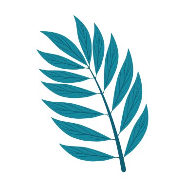 Beyaz arkaplanda yaprakları olan dal