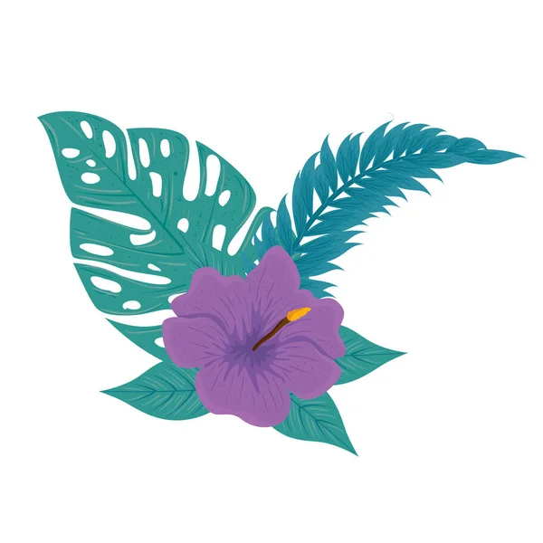 Hibisco hermoso color púrpura, con ramas y hojas tropicales, primavera verano botánico — Vector de stock