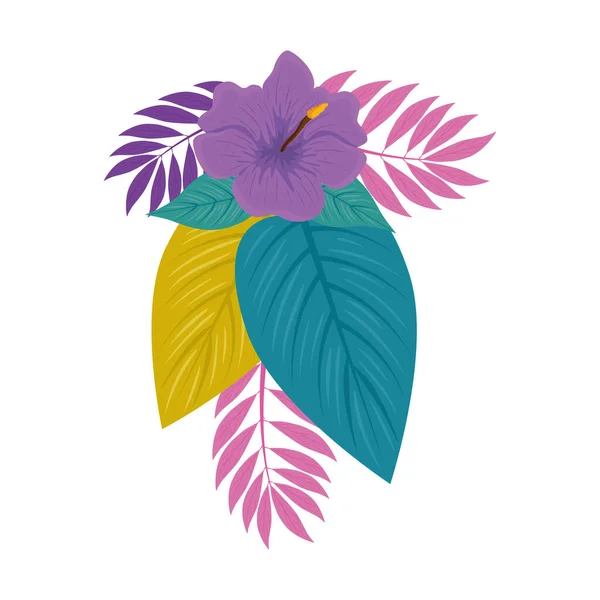 Ibišek krásná fialová barva, s větvemi a tropickými listy, jaro léto botanické — Stockový vektor