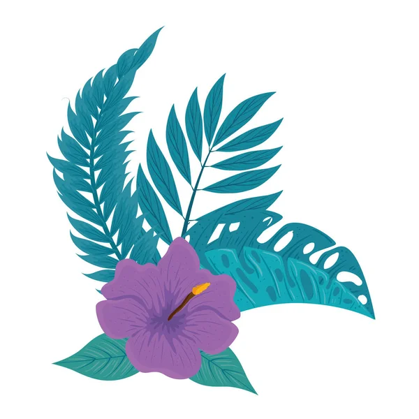 Hibiscus belle couleur pourpre, avec des branches et des feuilles tropicales, printemps été botanique — Image vectorielle