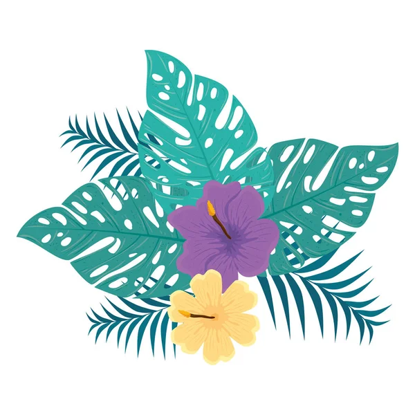 Decoration of hibiscus yellow and purple color, with tropical leaves, spring summer botanical — Stock Vector