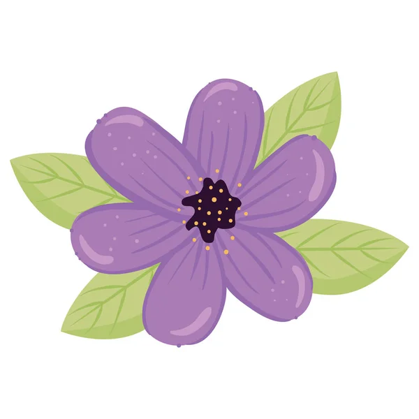 Yaprak vektör tasarımlı mor çiçek — Stok Vektör