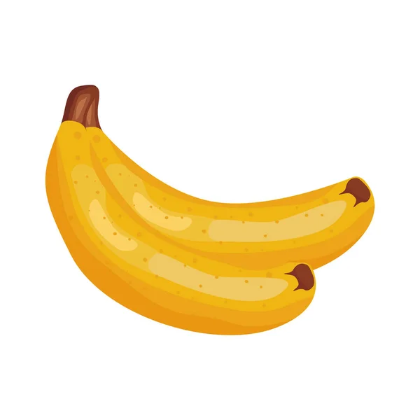 Banane frische köstliche Früchte detaillierte Stil-Symbol — Stockvektor