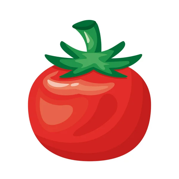 Pomidor zdrowe warzywa szczegółowy styl ikona — Wektor stockowy