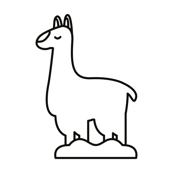 Ícone de estilo de linha animal exótico alpaca —  Vetores de Stock