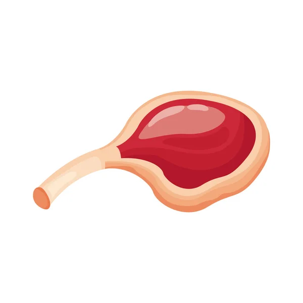 Carne de costilla corte icono de estilo detallado — Vector de stock