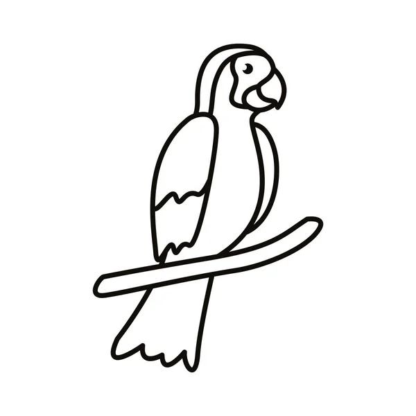 Guacamaya icono de estilo de línea de aves exóticas — Vector de stock