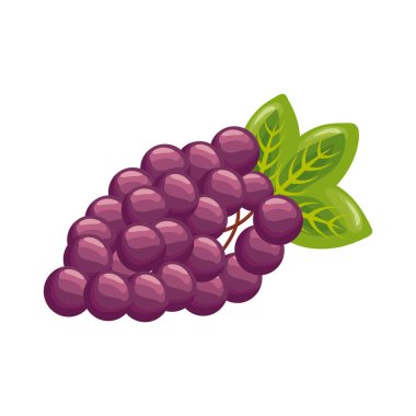 Üzümler taze lezzetli meyve detaylandırılmış stil simgesi