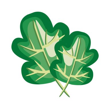 Ispanak sağlıklı sebze ayrıntılı biçim simgesi