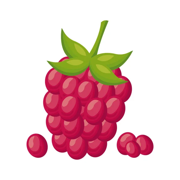 Blackberry fruta fresca deliciosa icono de estilo detallado — Vector de stock