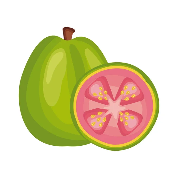 Guayaba fruta fresca deliciosa icono de estilo detallado — Vector de stock