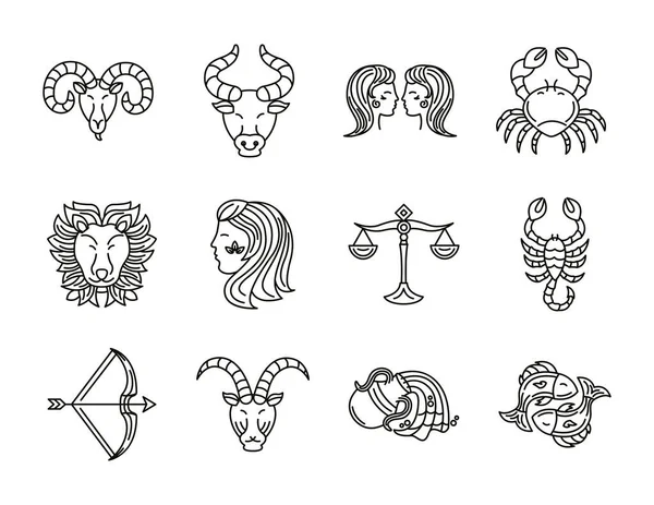 Manojo de signos y símbolos del zodiaco — Archivo Imágenes Vectoriales