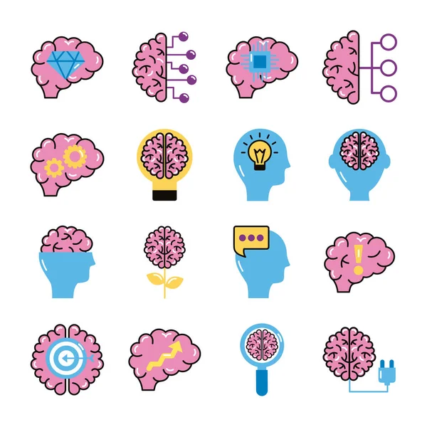 Bundle of brains organs set icons — Stock Vector