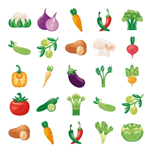 Bundle of vegetables set icons — Stock Vector