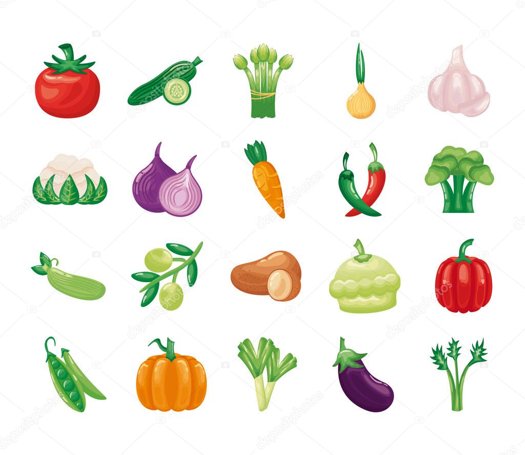 bundle of vegetables set icons