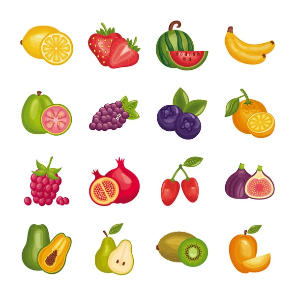 Bundle of fresh fruits set icons — Stock Vector
