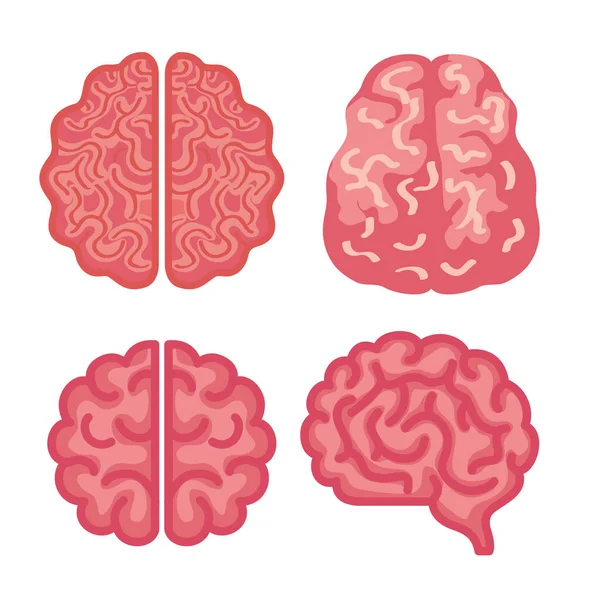 Neurologie hersenen gezonde pictogrammen ingesteld — Stockvector