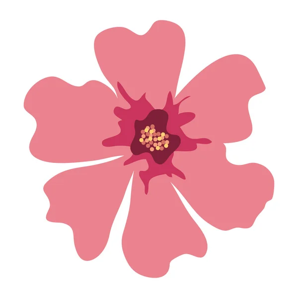 Söt blomma rosa färg, på vit bakgrund — Stock vektor