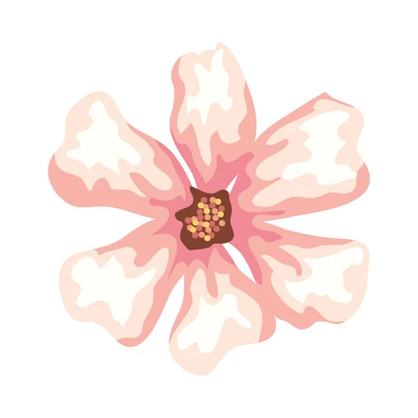 Roztomilý květinový příroda, na bílém pozadí — Stockový vektor