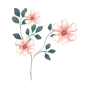 Beyaz arkaplanda dalları ve yaprakları olan çiçekler