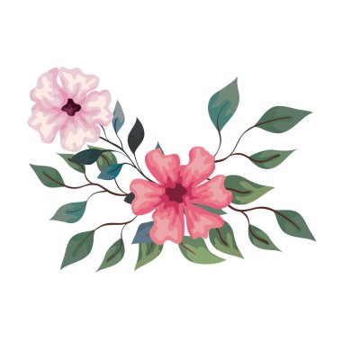 beyaz arkaplanda dalları ve yaprakları olan pembe çiçekler