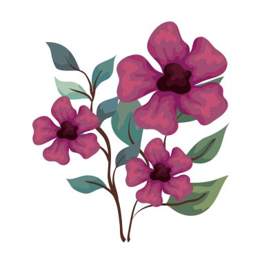 beyaz arkaplanda dalları ve yaprakları olan mor çiçekler