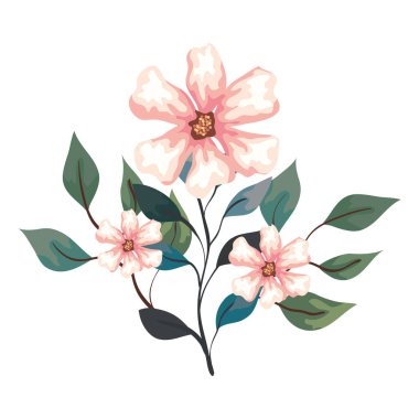 Beyaz arkaplanda dalları ve yaprakları olan çiçekler