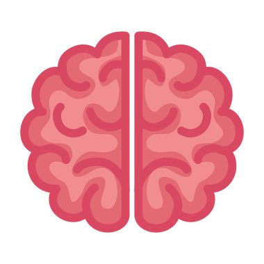 Nöroloji, beyaz arka planda insan beyni