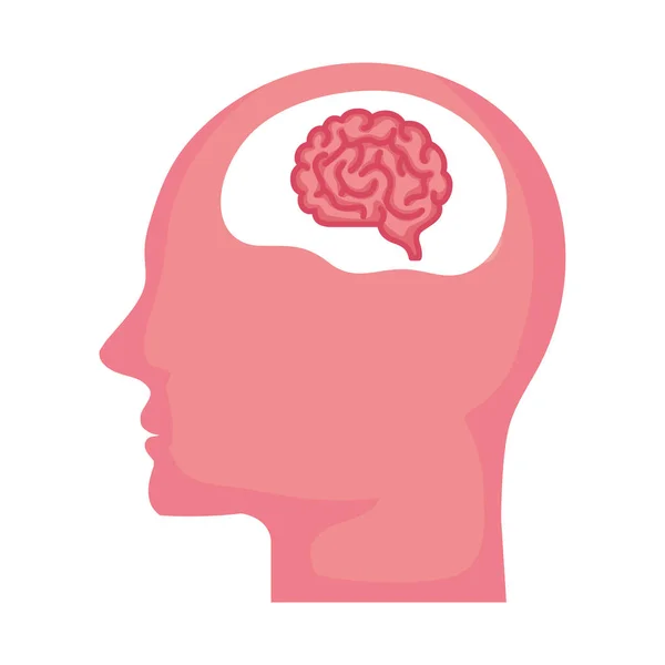 Silueta de perfil humano con cerebro, sobre fondo blanco — Vector de stock