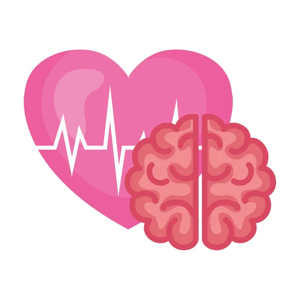 Nöroloji, beyaz arka planda kalp atışı olan insan beyni. — Stok Vektör