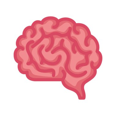 Nöroloji, beyaz arka planda insan beyni