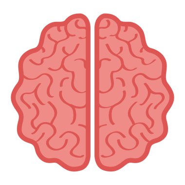 Nöroloji, beyaz arka planda insan beyni