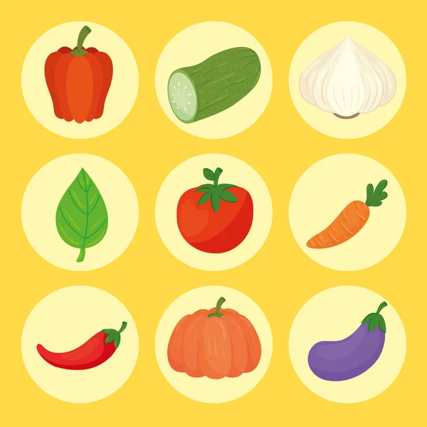 Ensemble de légumes frais et sains — Image vectorielle