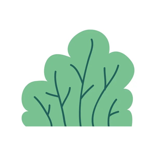 灌木植物生态自然图标 — 图库矢量图片