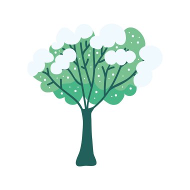 Karlı ağaç ekolojisi