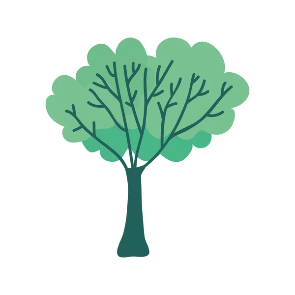 木の植物生態系のアイコン — ストックベクタ
