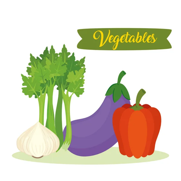 有蔬菜、茄子、芹菜、大蒜和胡椒的横幅 — 图库矢量图片