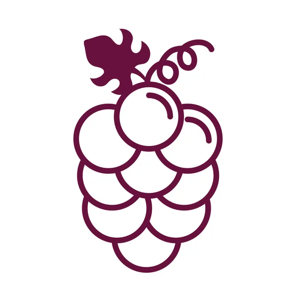 Uvas frutas frescas línea estilo icono — Archivo Imágenes Vectoriales