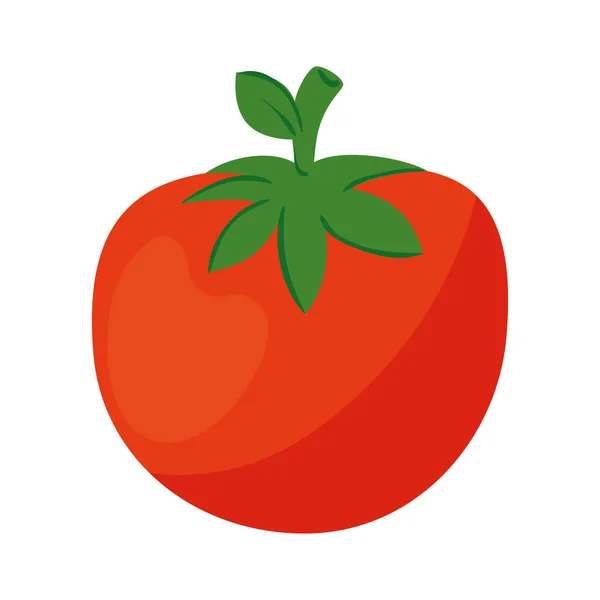 Vegetal de tomate fresco en fondo blanco — Vector de stock