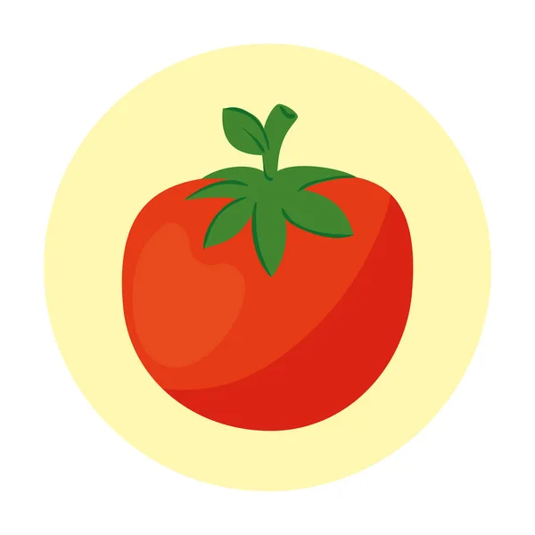 Verse tomatengroente in rond frame, op witte achtergrond — Stockvector