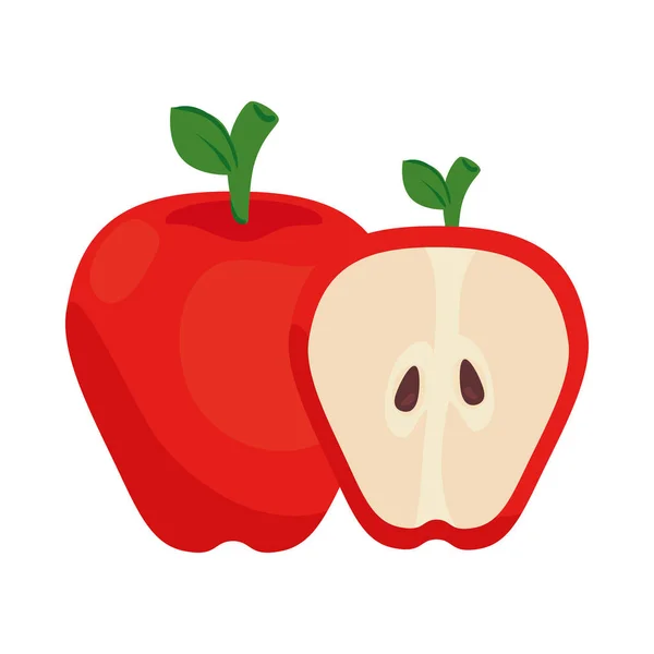 Pomme rouge et tranches de fruits sur fond blanc — Image vectorielle