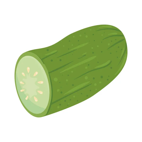 Cucumber fresh vegetable, in white background — Stock Vector